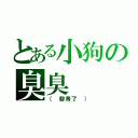 とある小狗の臭臭（（ 發青了 ））