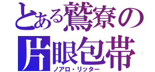 とある鷲寮の片眼包帯男子（ノアロ・リッター）