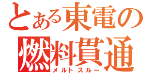 とある東電の燃料貫通（メルトスルー）