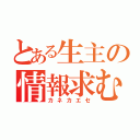 とある生主の情報求む（カネカエセ）