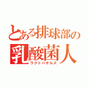 とある排球部の乳酸菌人（ラクトバチルス）