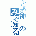 とある神のみぞ知る（セカイ）