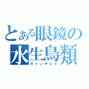 とある眼鏡の水生鳥類（キャンチョメ）