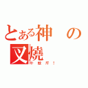 とある神の叉燒（十蚊斤！）