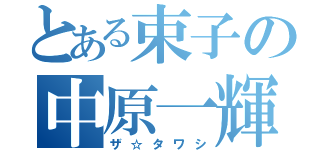 とある束子の中原一輝（ザ☆タワシ）