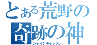 とある荒野の奇跡の神殿（シャインキャッスル）