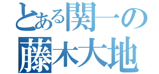 とある関一の藤木大地（）