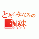 とあるみなみの三姉妹（みなみけ）