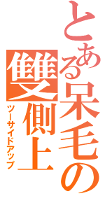 とある呆毛の雙側上Ⅱ（ツーサイドアップ）