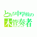 とある中学校の木管奏者（アルトサックス）