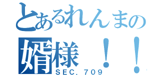 とあるれんまの婿様！！（ＳＥＣ．７０９）