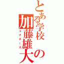 とある学校 の加藤雄大（コナチーズ）