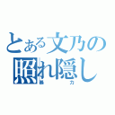 とある文乃の照れ隠し（暴力）