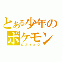 とある少年のポケモン（ピカチュウ）