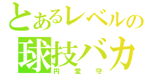 とあるレベルの球技バカ（円堂守）