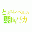 とあるレベルの球技バカ（円堂守）