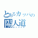 とあるカッパの陽人道（カッパミチ）