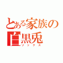 とある家族の白黒兎（ソックス）