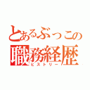 とあるぶっこの職務経歴（ヒストリー）