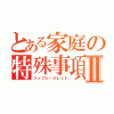 とある家庭の特殊事項Ⅱ（トップシークレット）