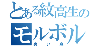 とある紋高生のモルボルパワー（臭い息）