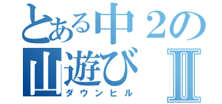 とある中２の山遊びⅡ（ダウンヒル）