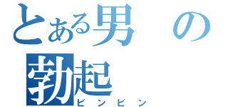 とある男の勃起（ビンビン）