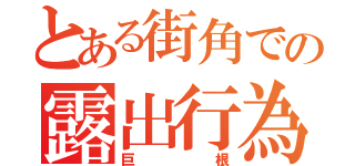 とある街角での露出行為（巨根）