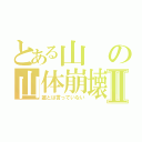 とある山の山体崩壊Ⅱ（誰とは言っていない）