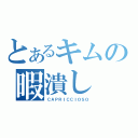 とあるキムの暇潰し（ＣＡＰＲＩＣＣＩＯＳＯ）