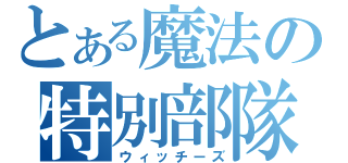 とある魔法の特別部隊（ウィッチーズ）