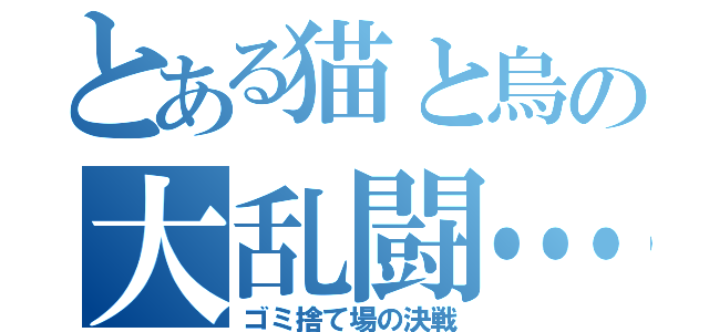 とある猫と烏の大乱闘…？（ゴミ捨て場の決戦）