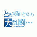 とある猫と烏の大乱闘…？（ゴミ捨て場の決戦）