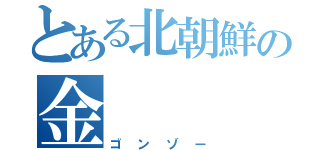 とある北朝鮮の金（ゴンゾー）