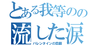 とある我等のの流した涙（バレンタインの悲劇）