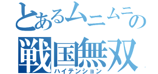 とあるムニムニの戦国無双（ハイテンション）