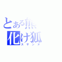 とある熊本の化け狐（スザンヌ）