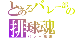 とあるバレー部の排球魂（バレー馬鹿）