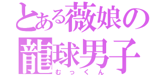 とある薇娘の龍球男子（むっくん）