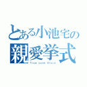 とある小池宅の親愛挙式（Ｔｒｕｅ Ｌｏｖｅ Ｓｔｏｒｙ）