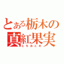 とある栃木の真紅果実（とちおとめ）