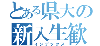 とある県大の新入生歓迎会（インデックス）