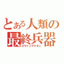 とある人類の最終兵器（エヴァンゲリオン）