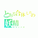 とある合体したネコとハチの妖精（ネコッパチ）