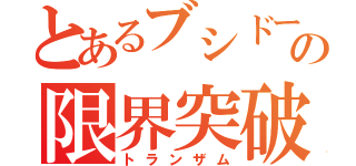 とあるブシドーの限界突破（トランザム）