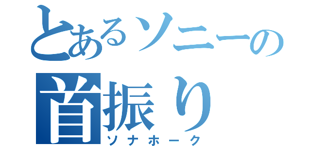 とあるソニーの首振り（ソナホーク）