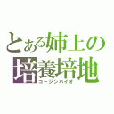 とある姉上の培養培地（コージンバイオ）