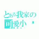 とある我家の可愛小貓（蘿蔔小貓）