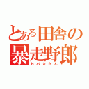 とある田舎の暴走野郎（おバカさん）