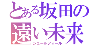 とある坂田の遠い未来（シェールフォール）